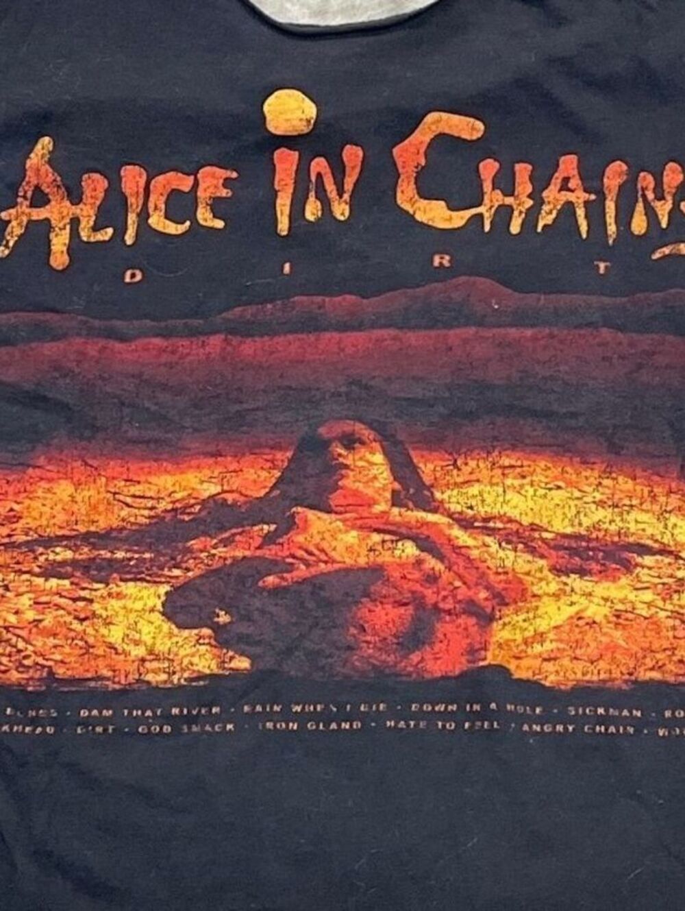 Alice In Chains Preowned Medium Cropped Neckline T-shirt